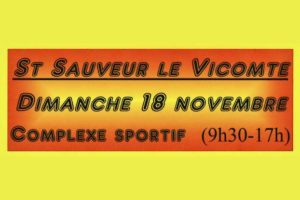 noel saint sauveur le vicomte 2018